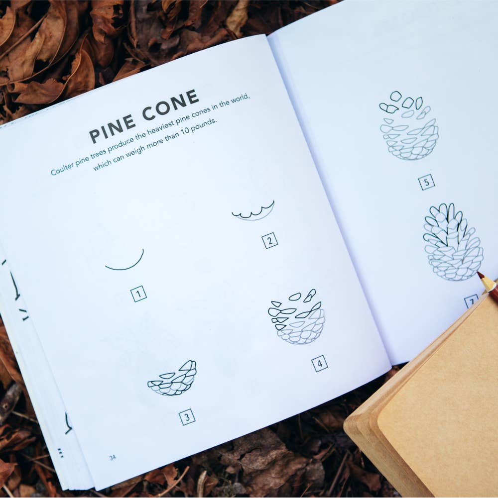 Penguin Random House LLC - How To Draw Fall Things