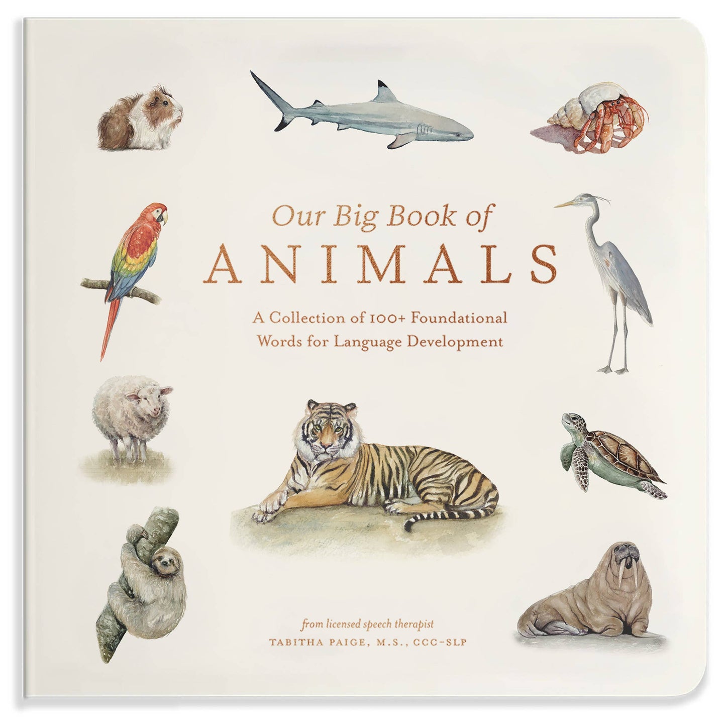 Penguin Random House LLC - Our Big Book of Animals