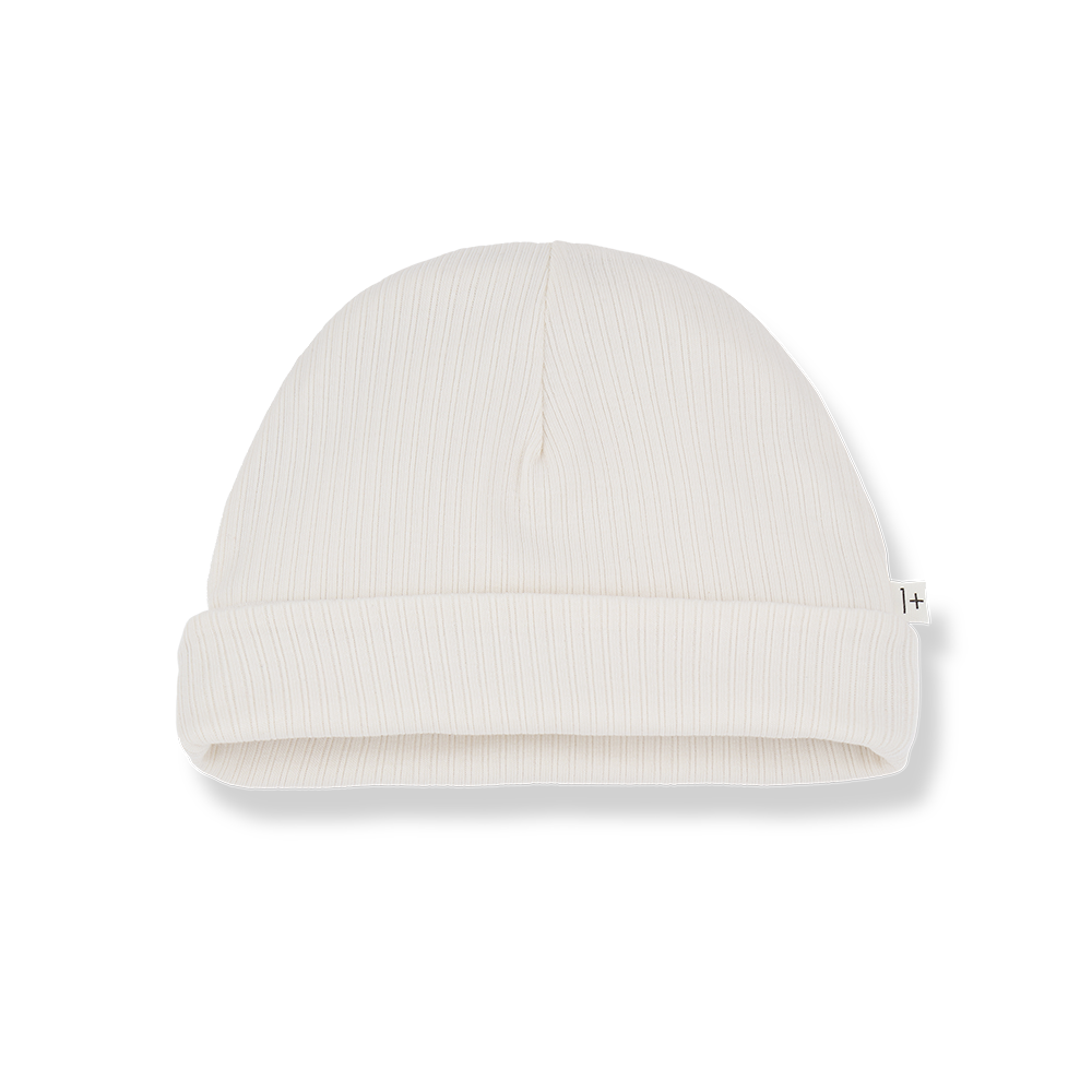 1+ in The Family Kai Beanie