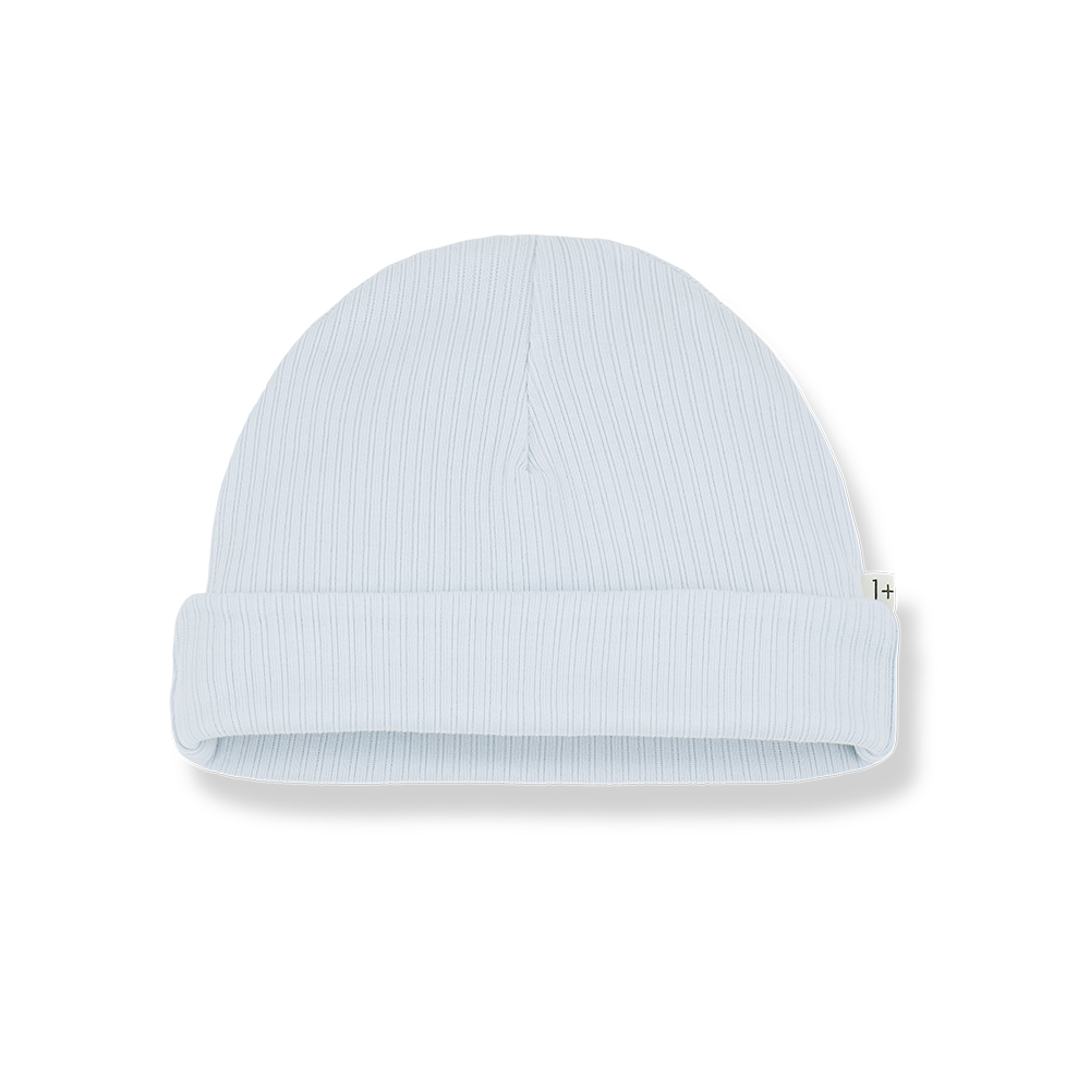 1+ in The Family Kai Beanie