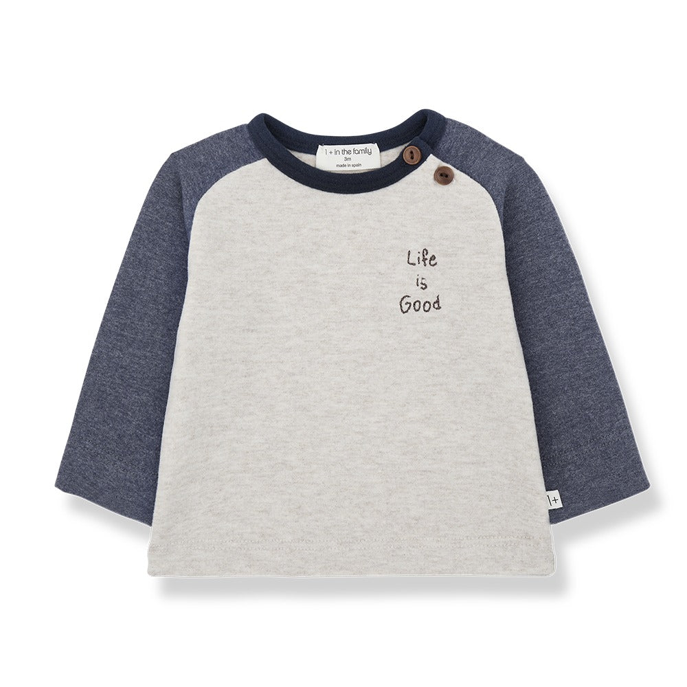 1+ in the Family Paul Ranglan T-Shirt