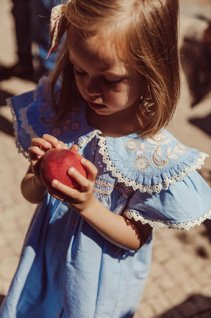 Louise Misha Nalina Dress