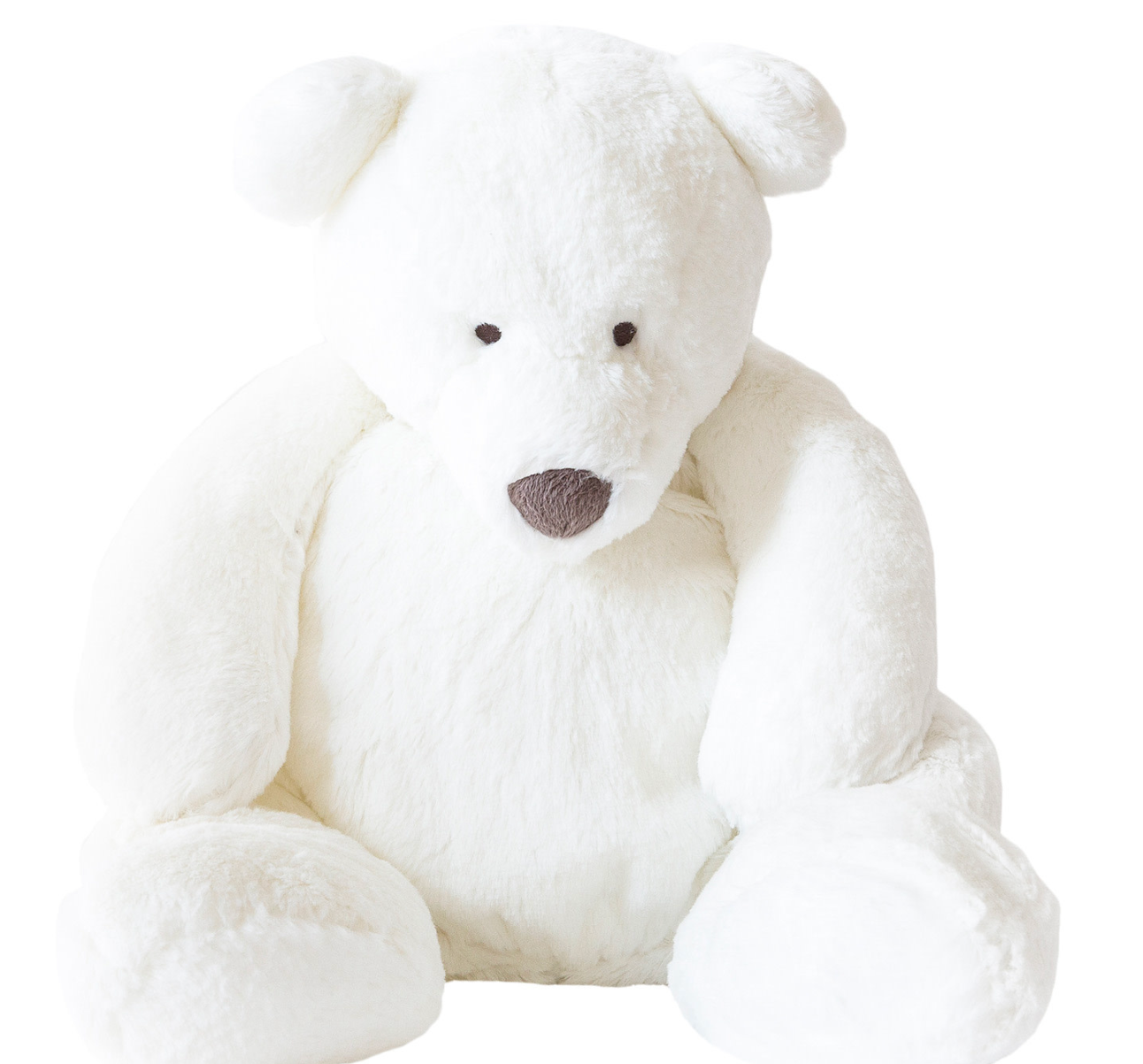 Dimpel Esteban JR 30 Bear