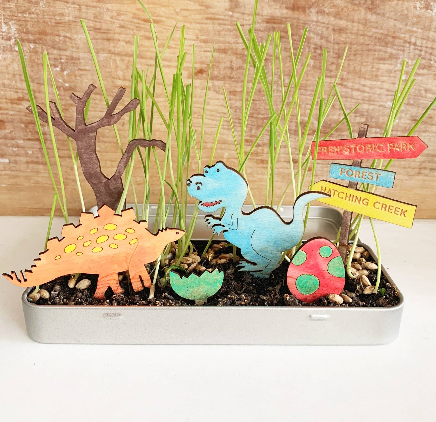 Cotton Twist - Make Your Own Dinosaur Garden