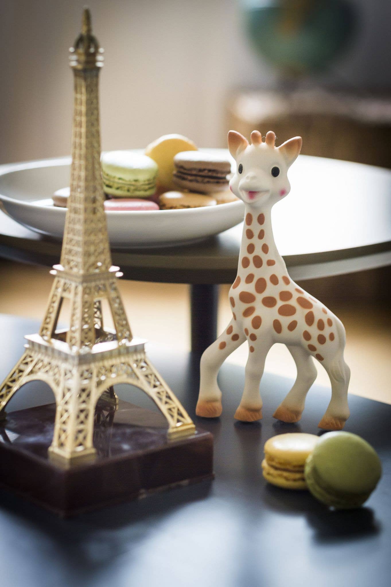 Sophie la Girafe - Sophie La Girafe - So'Pure Box for boutiques!