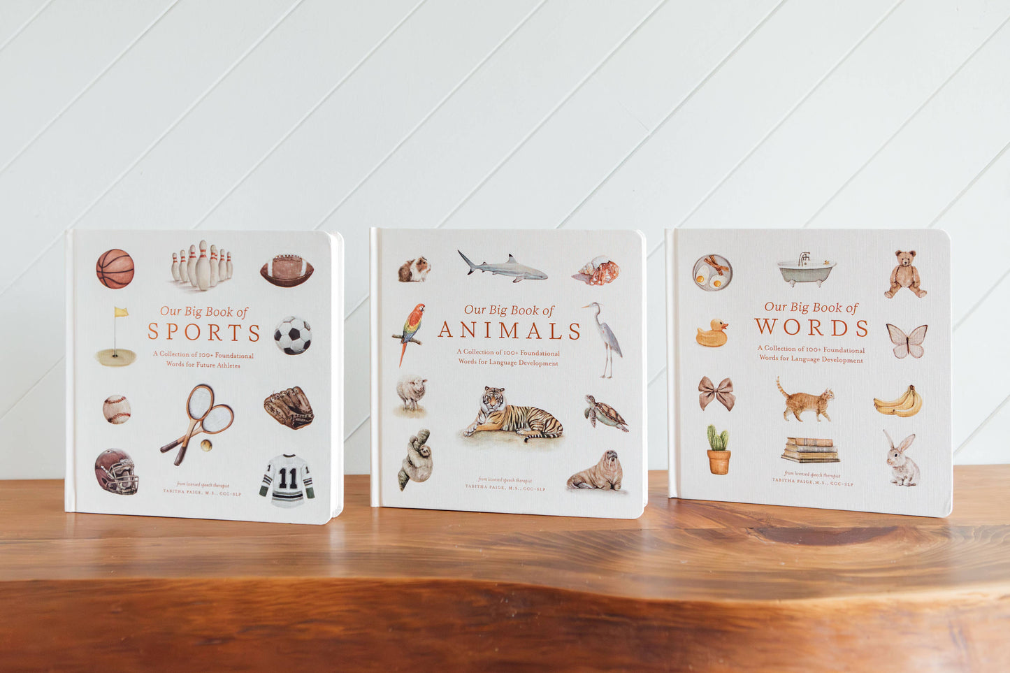 Paige Tate & Co. - Our Big Book of First Words (Board Book)