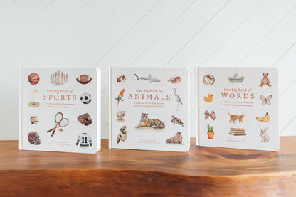 Paige Tate & Co. - Our Big Book of Sports (Board Book)