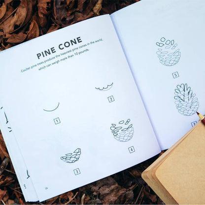 Penguin Random House LLC - How To Draw Fall Things