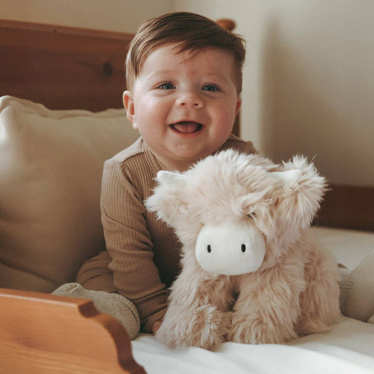 Snuggle Bunnies - Highland Cow Plush Stuffed Animal - Hilda
