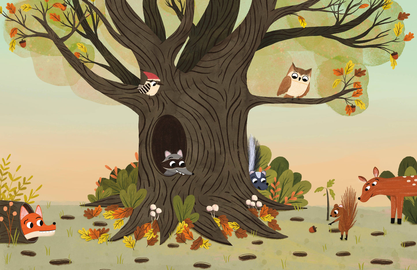 Penguin Random House LLC - Have You Seen My Acorn?