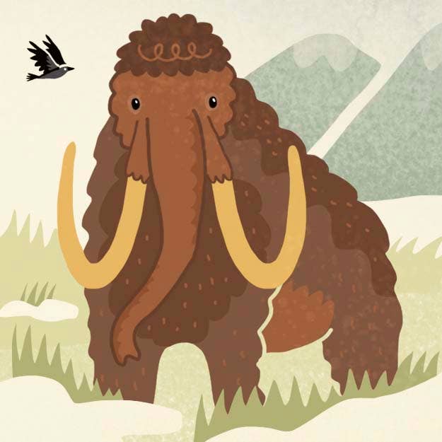 Penguin Random House LLC - Dinosaurs