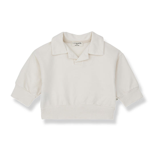 1+ in the Family Ampolla