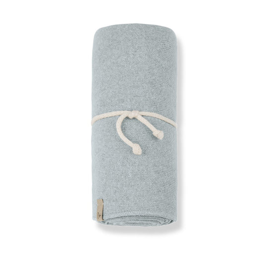 1+ in the Family Asis Blanket