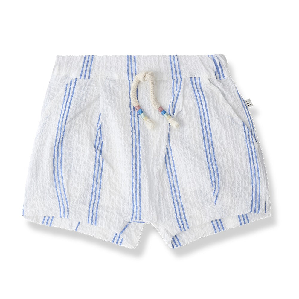 1+ in the Family Conca Shorts