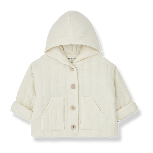 1 + in the family Domenico Jacket