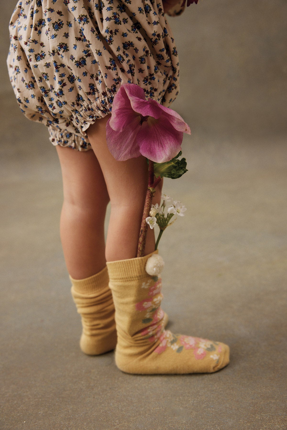Louise Misha Socks Chelie