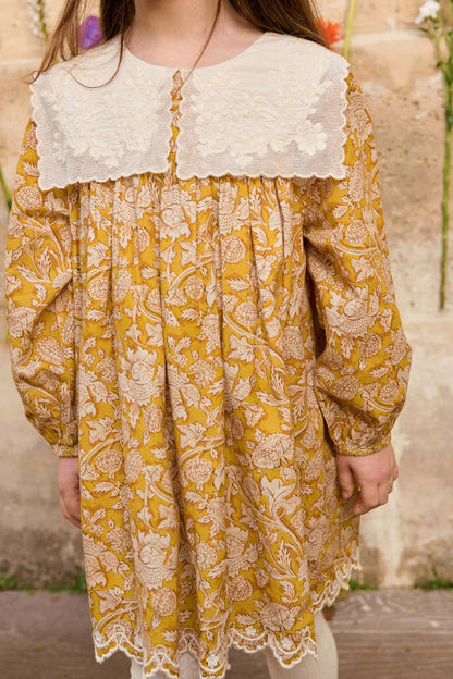Louise Misha Dress Arinola