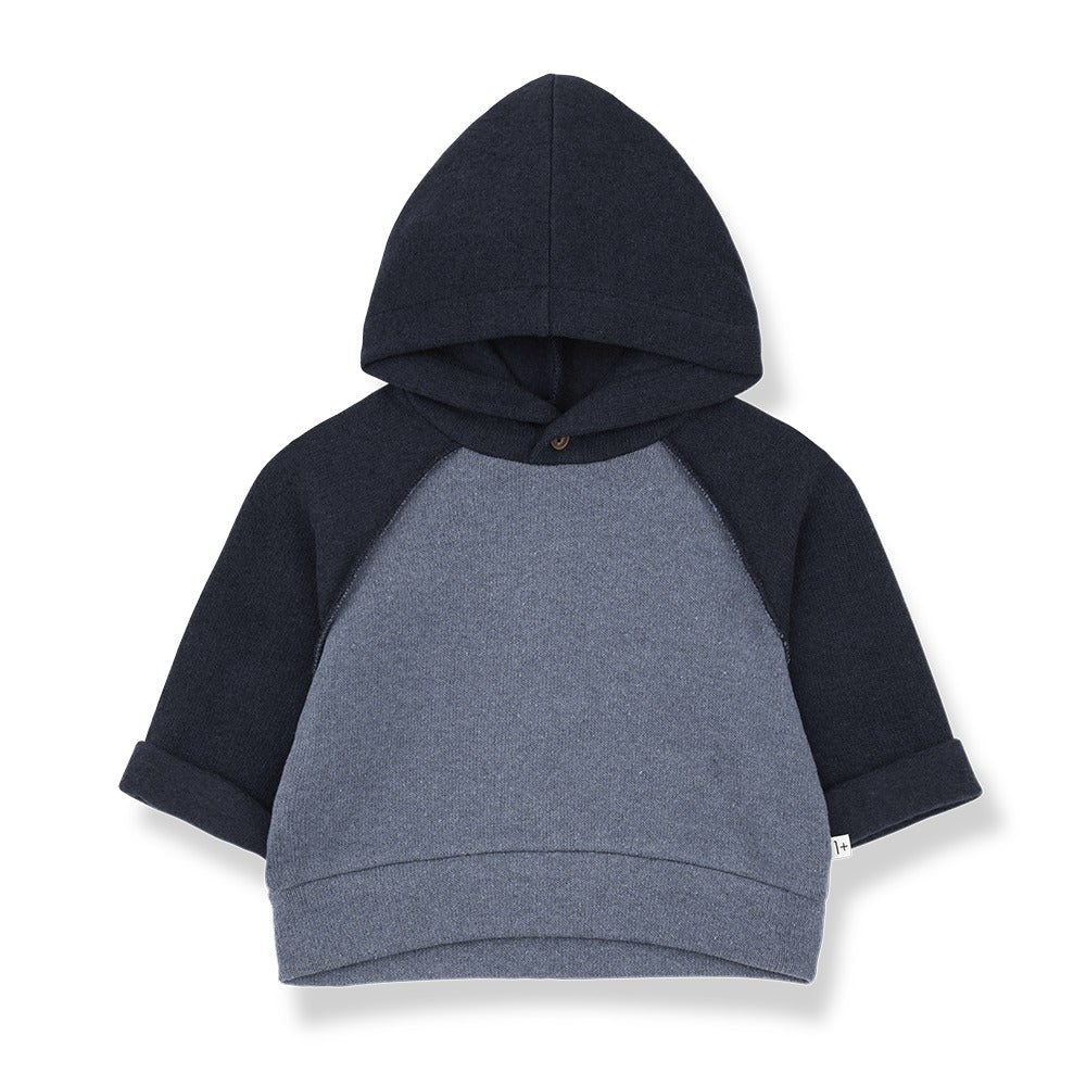 1+ in the Family Hakon Hooded Sweater