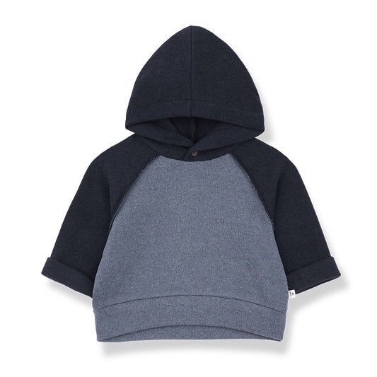 1+ in the Family Hakon Hooded Sweater