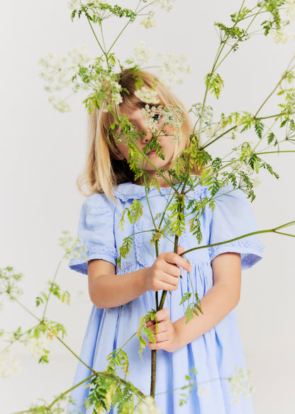morley blue dress Morley Xilomena Dress Blue