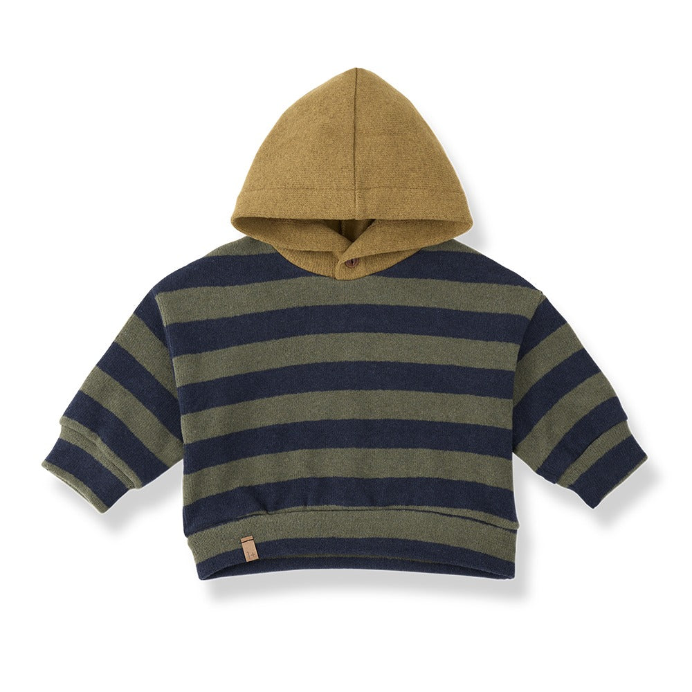 1+ in the Family Norman Hooded Sweater