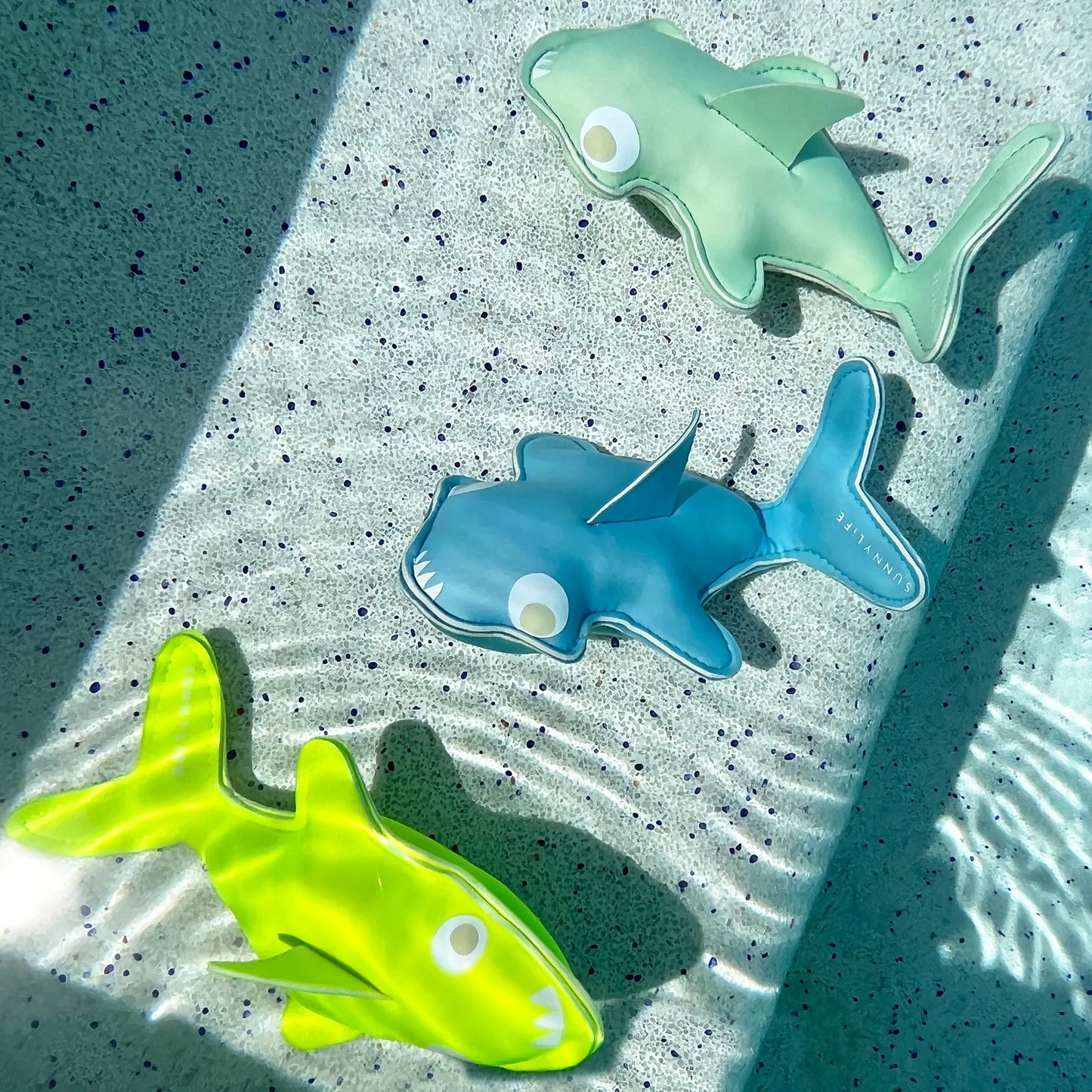 SunnyLife Dive Buddies