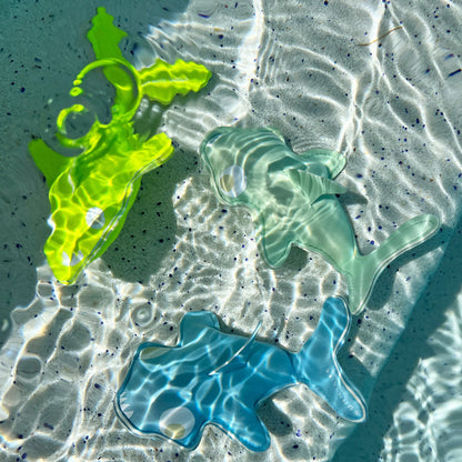SunnyLife Dive Buddies
