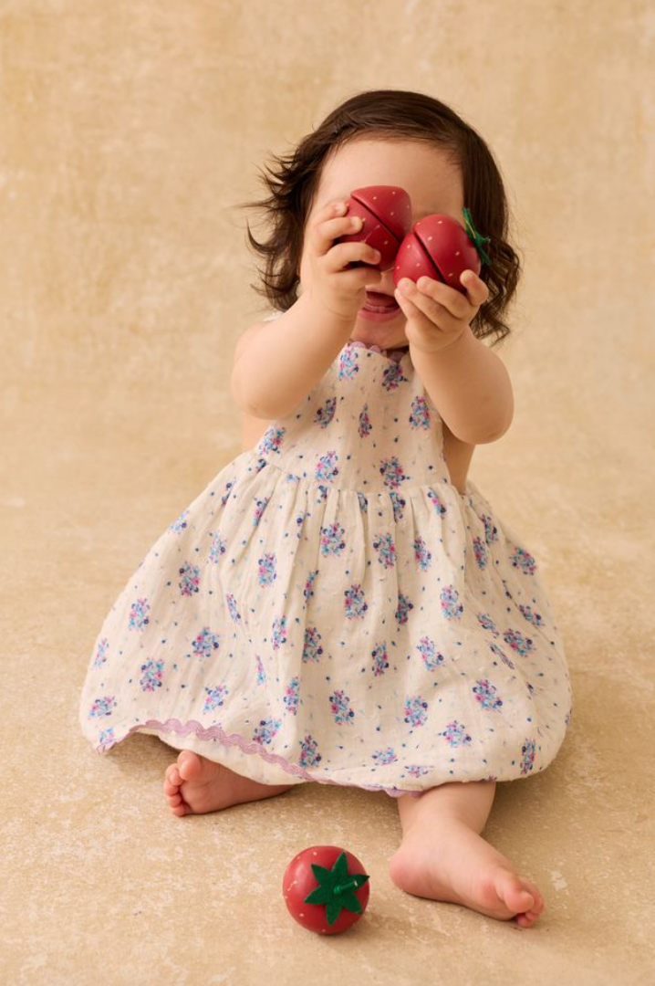 Louise Misha Dress Aloisa