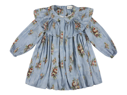 Morley Zabel Dress With Ruffles
