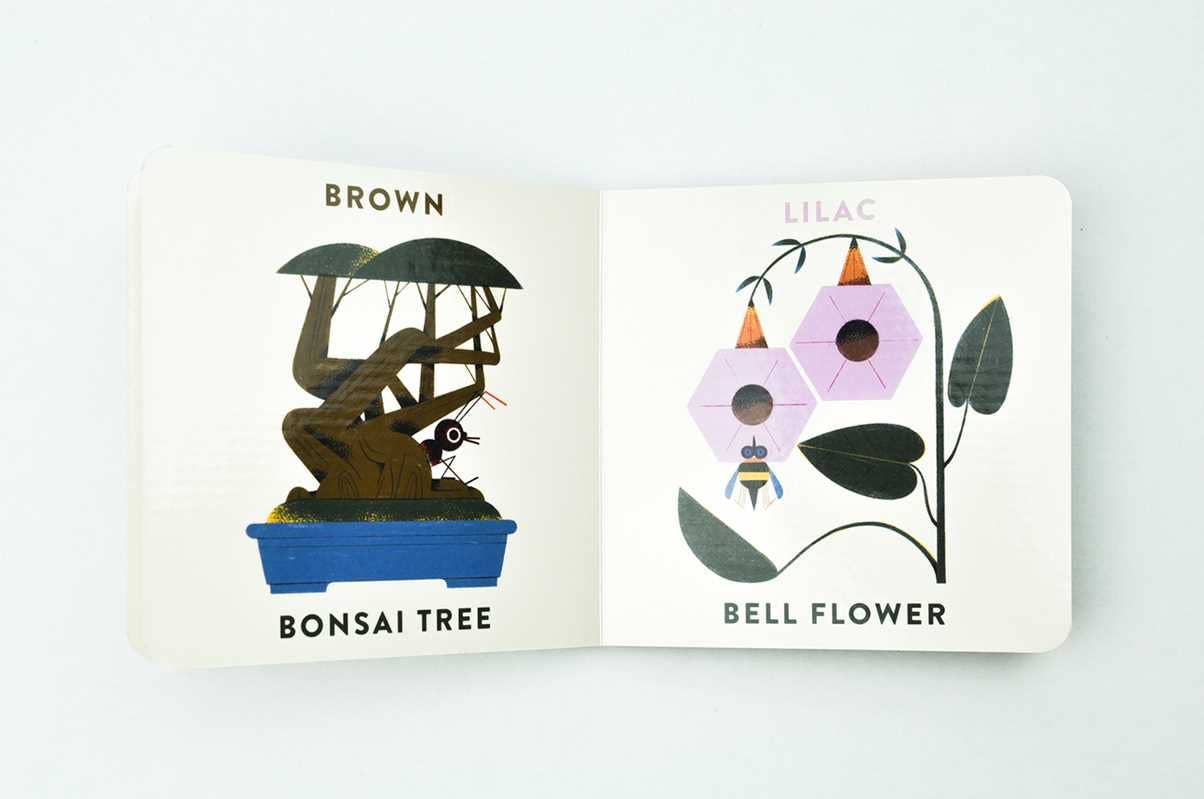 Simon & Schuster - Babylink: Colors in the Garden by Marcos Farina