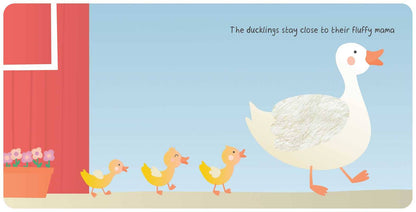 Simon & Schuster - Farm Animals: My First Touch & Feel Book by