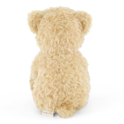 Snuggle Bunnies - Plush Teddy Bear - Arthur the Bear (12")
