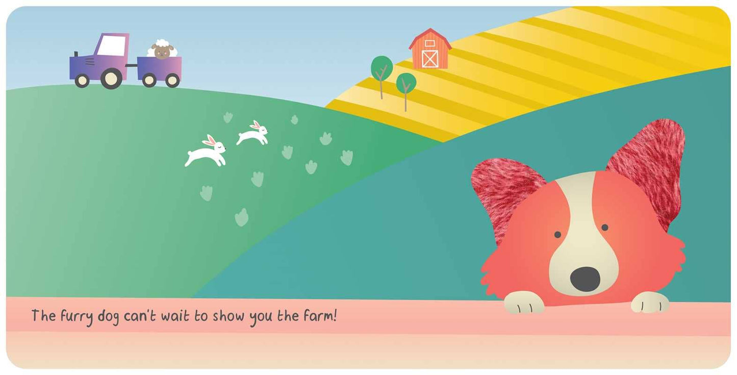 Simon & Schuster - Farm Animals: My First Touch & Feel Book by