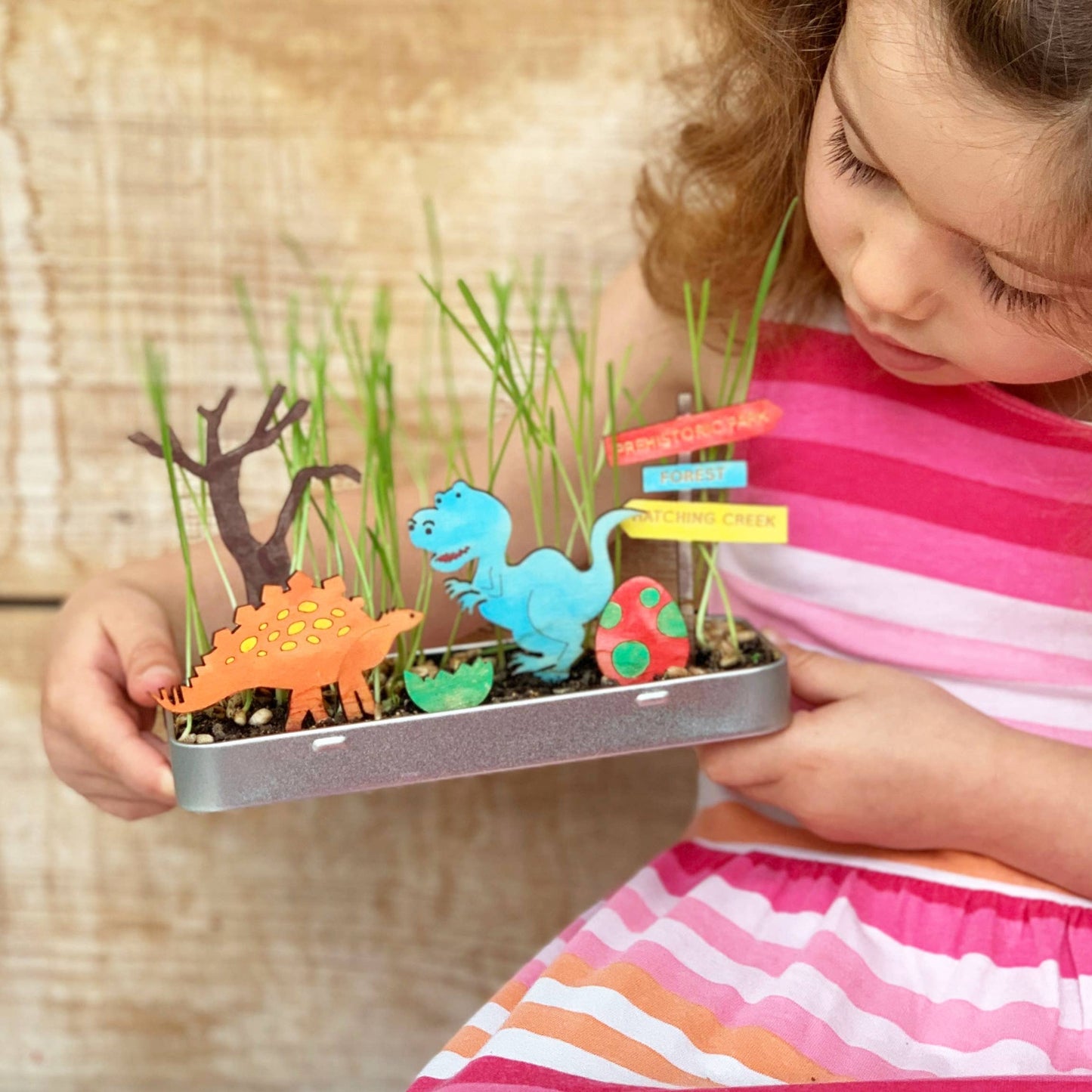 Cotton Twist - Make Your Own Dinosaur Garden