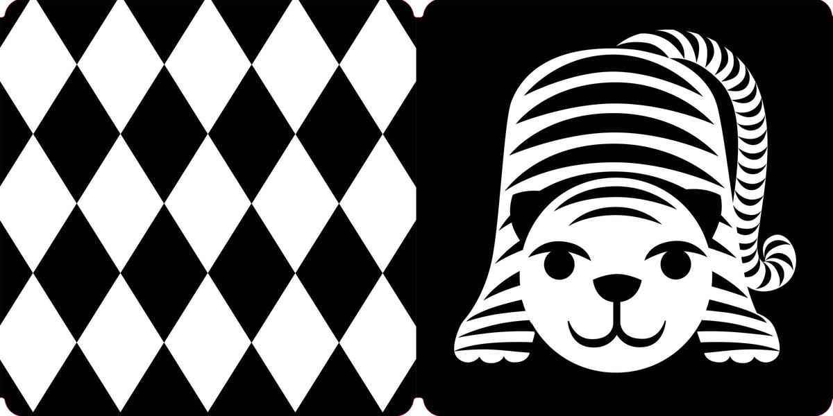 Hachette Book Group - Spring Street Tummy Time: Baby's First Book in Black & White