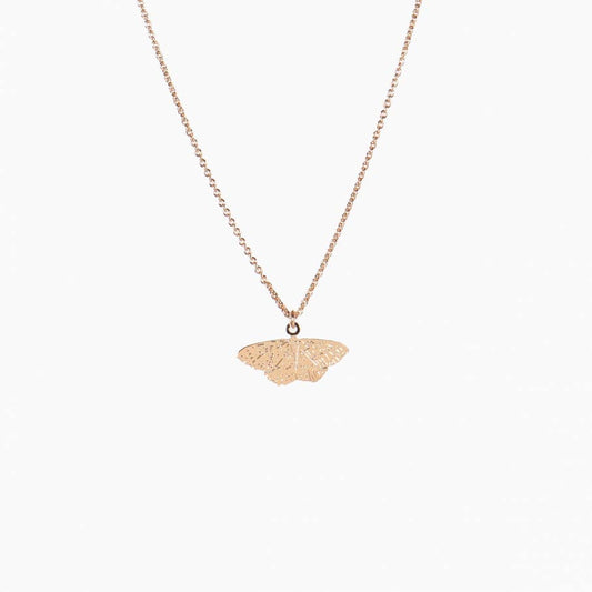 Titlee - Collier papillon BECKY - BECKY summer butterfly necklace